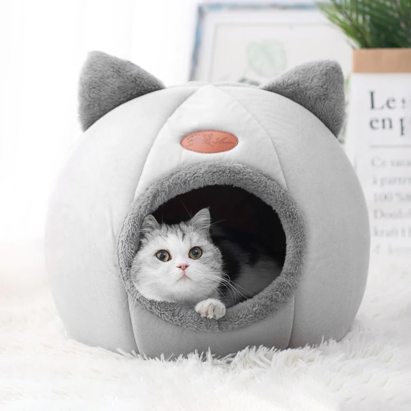 Cat & Small Dog Bed House