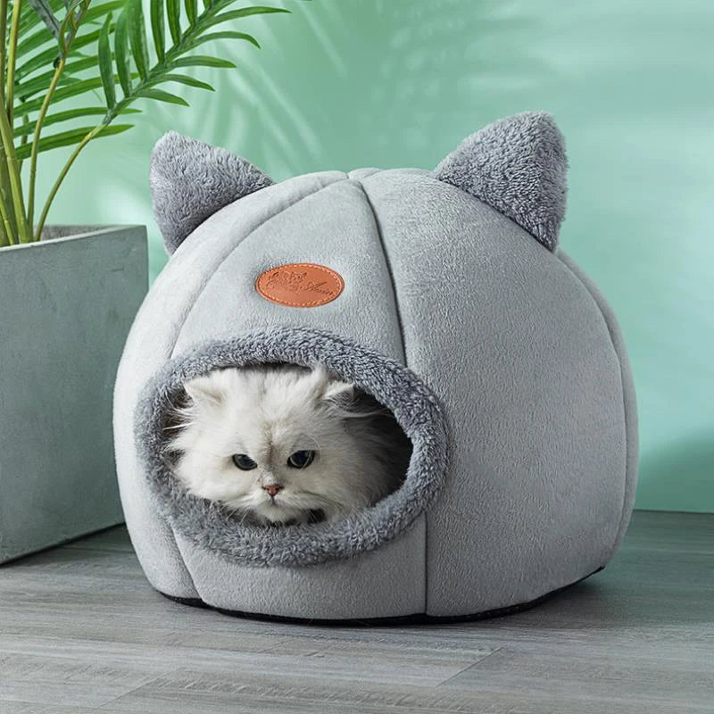 Cat & Small Dog Bed House