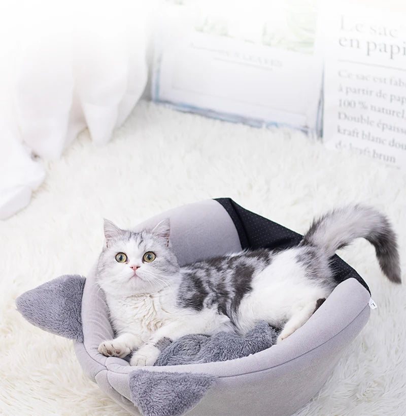 Cat & Small Dog Bed House