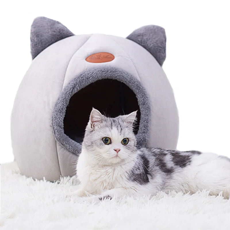 Cat & Small Dog Bed House