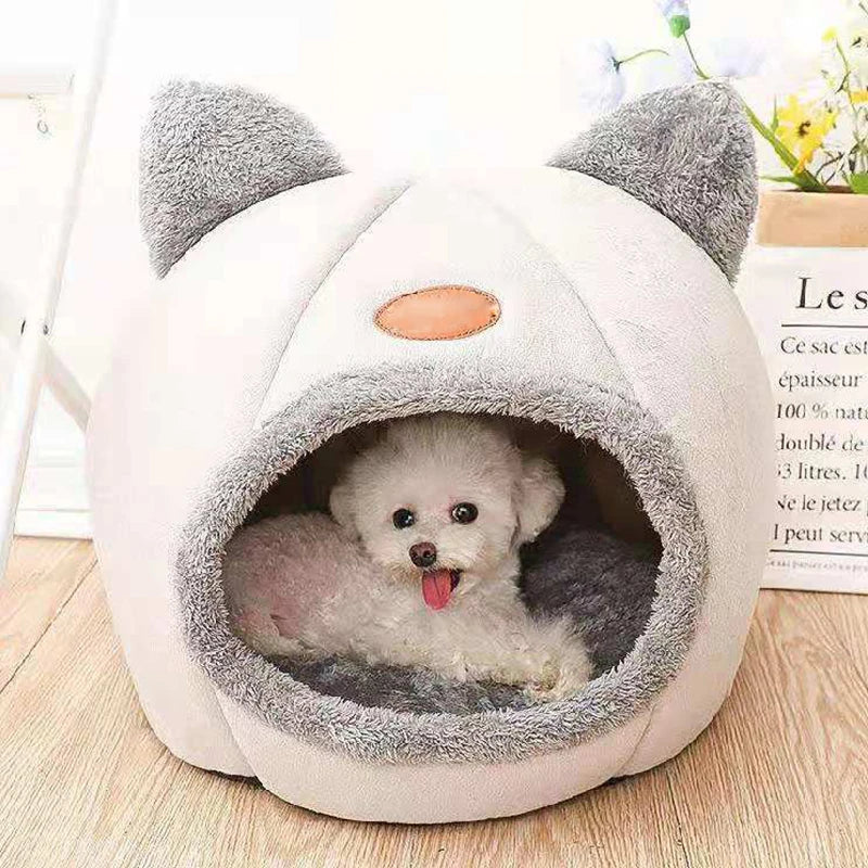 Cat & Small Dog Bed House