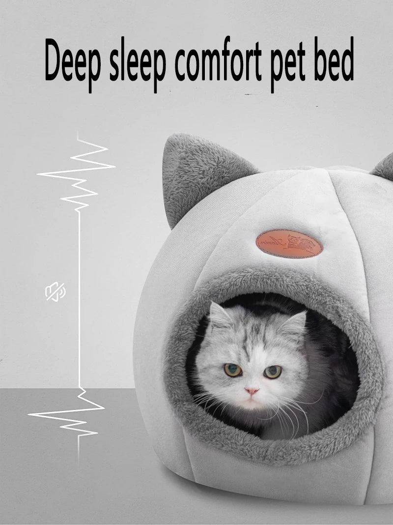 Cat & Small Dog Bed House