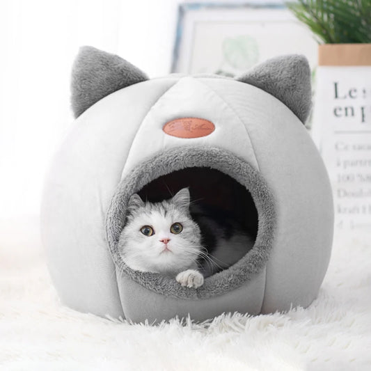 Cat & Small Dog Bed House