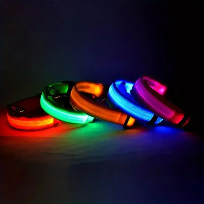 LED Night Safety Flashing Glow Leash