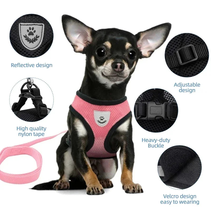 Cat & Dog Harness Vest