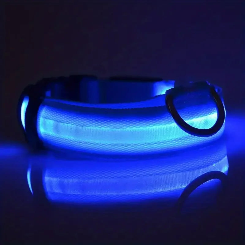 LED Night Safety Flashing Glow Leash