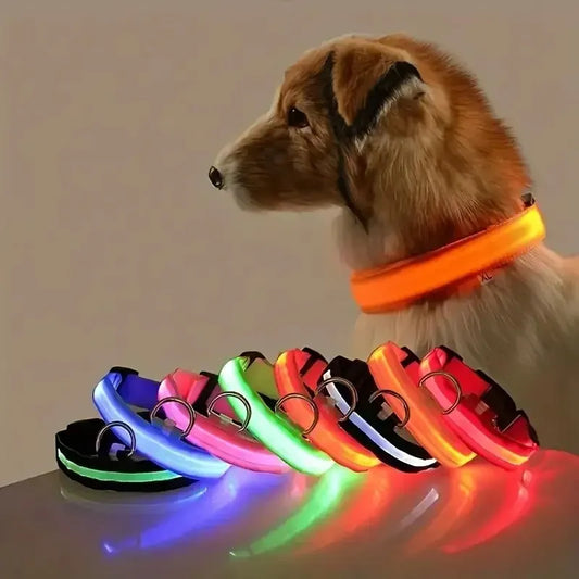 LED Night Safety Flashing Glow Leash