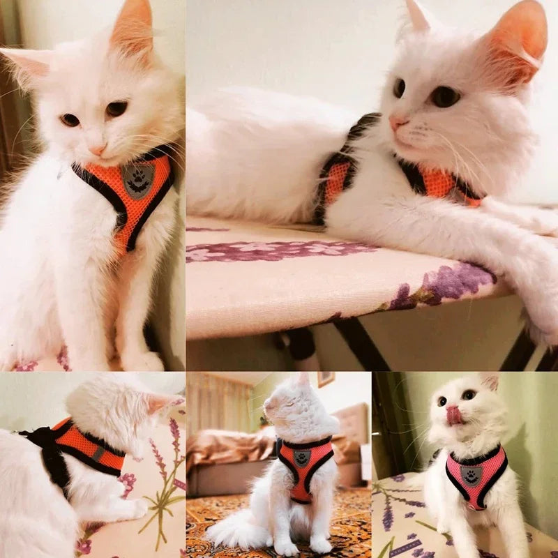 Cat & Dog Harness Vest