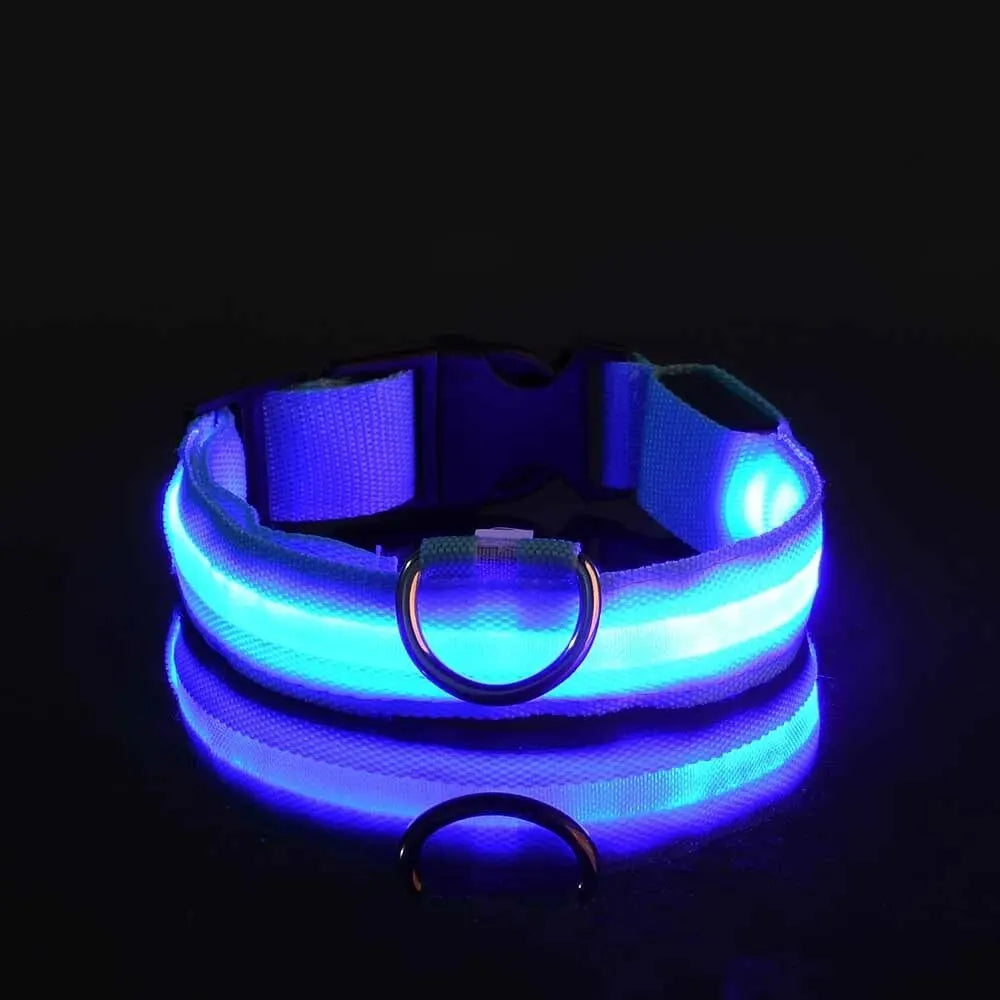 LED Night Safety Flashing Glow Leash