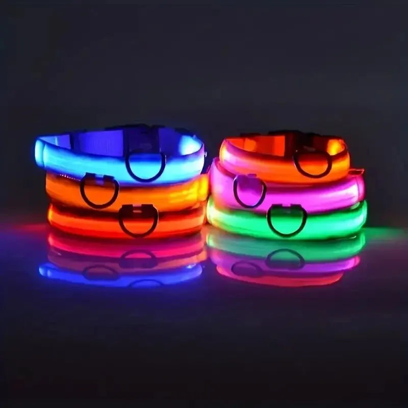 LED Night Safety Flashing Glow Leash