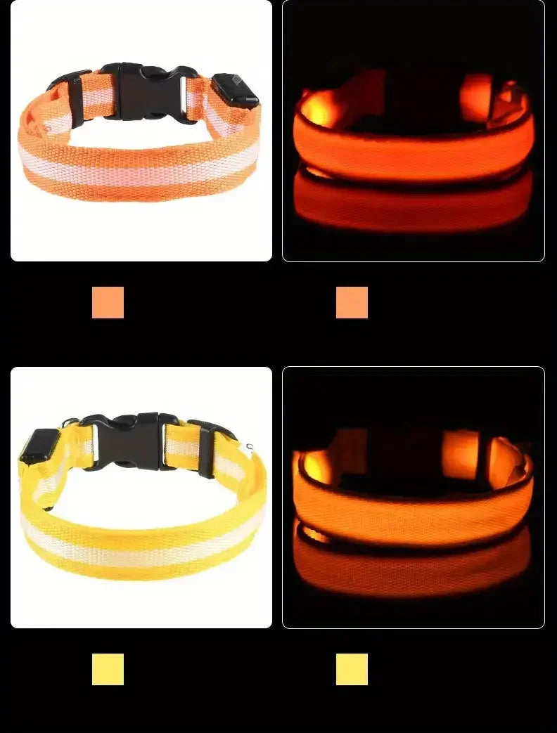 LED Night Safety Flashing Glow Leash