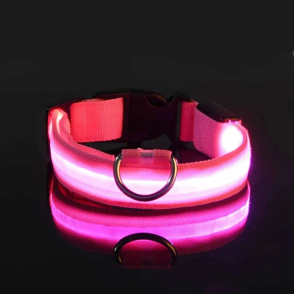 LED Night Safety Flashing Glow Leash