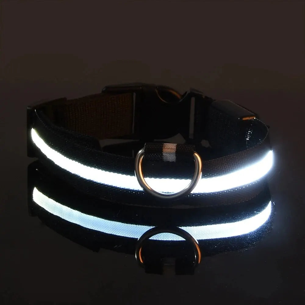 LED Night Safety Flashing Glow Leash