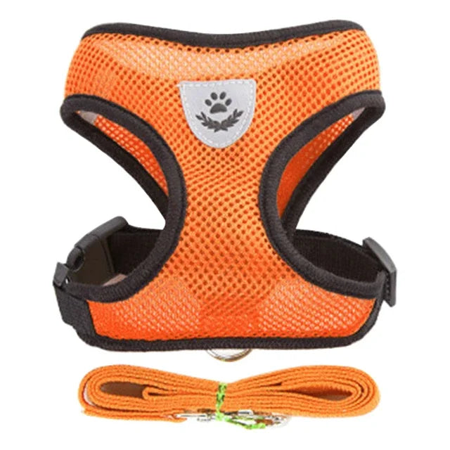 Cat & Dog Harness Vest