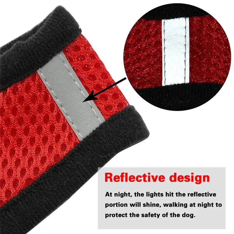 Cat & Dog Harness Vest