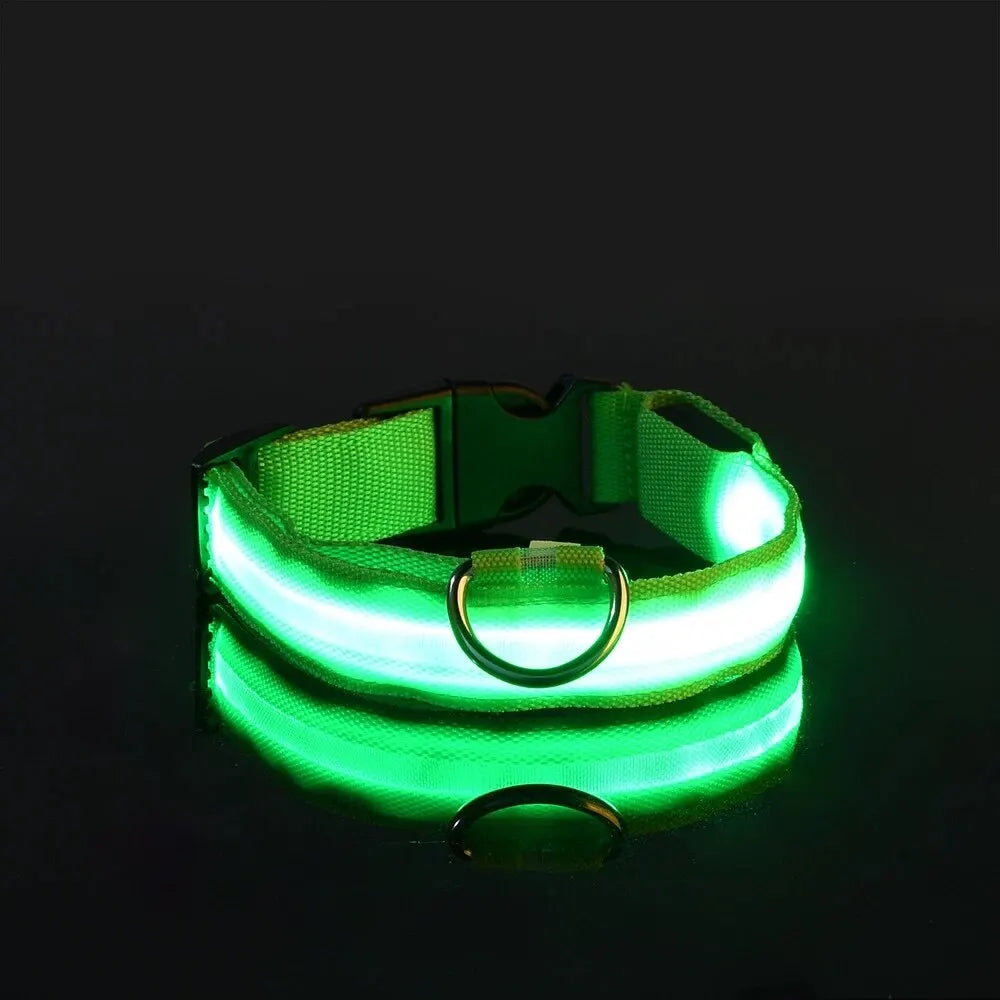 LED Night Safety Flashing Glow Leash