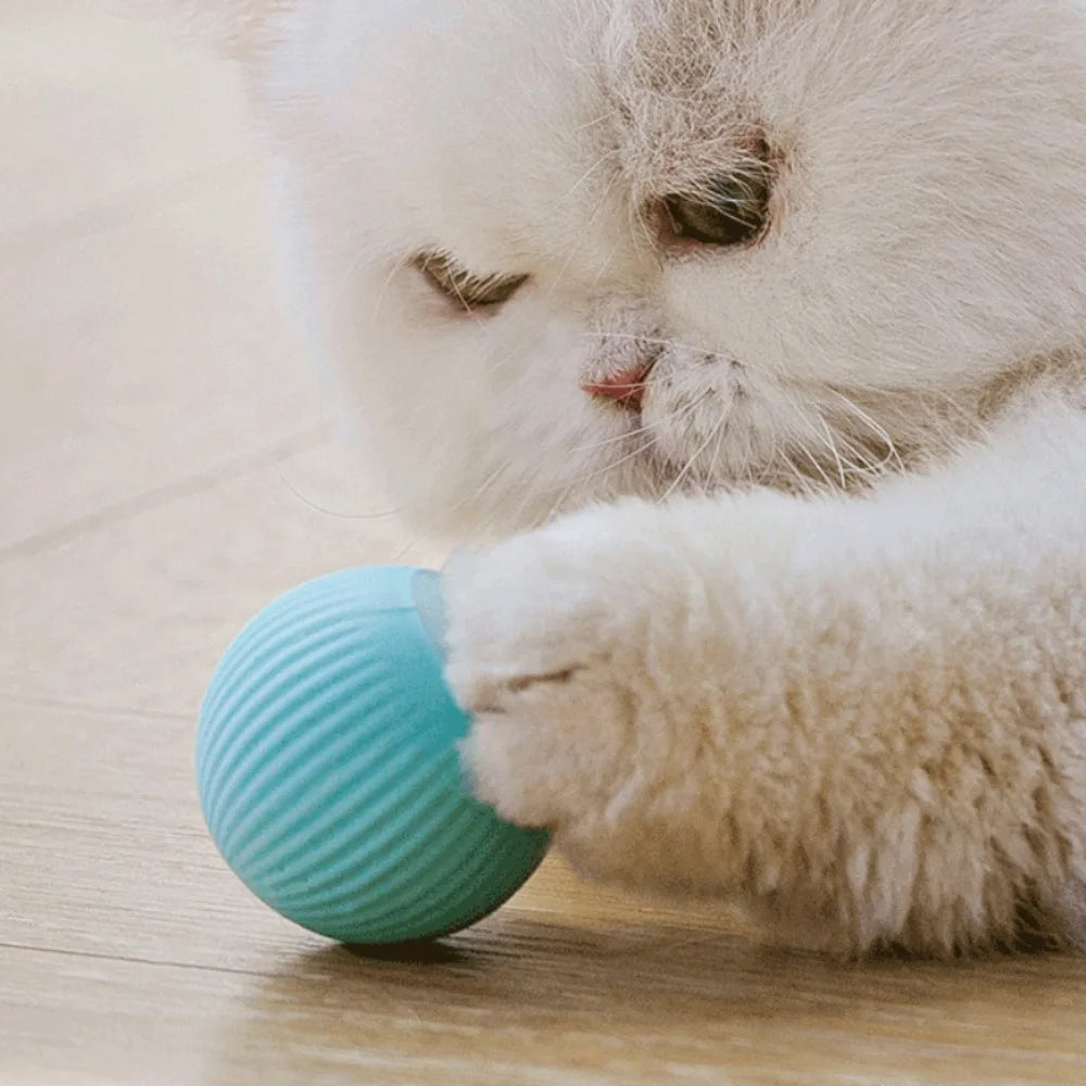 Cat Interactive Smart Ball