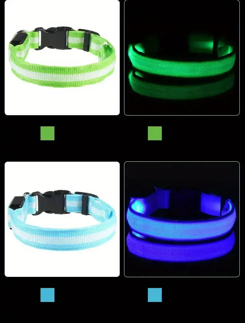 LED Night Safety Flashing Glow Leash