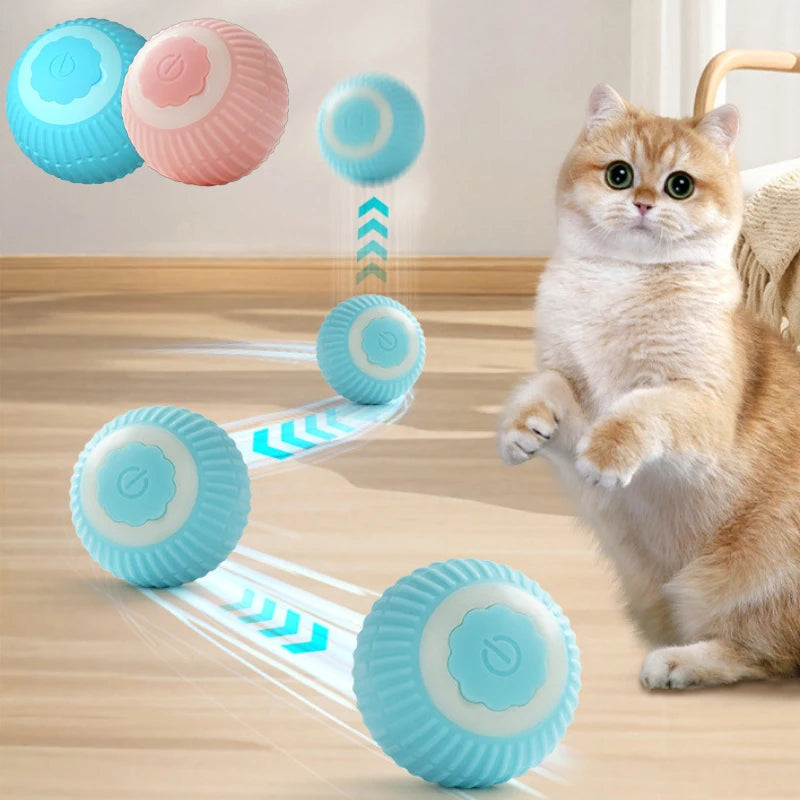 Cat Interactive Smart Ball