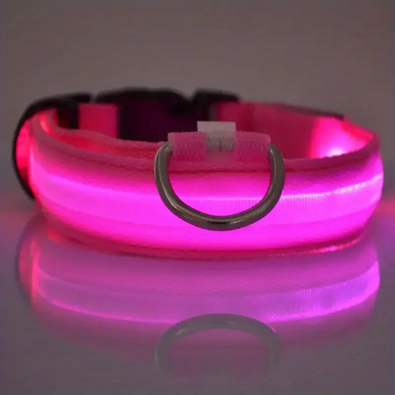 LED Night Safety Flashing Glow Leash