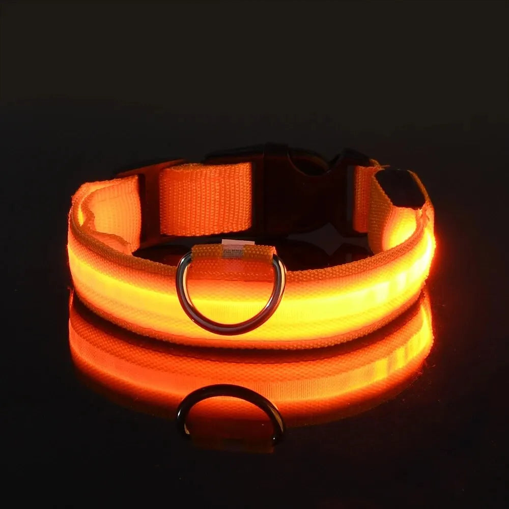 LED Night Safety Flashing Glow Leash