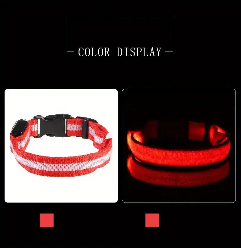 LED Night Safety Flashing Glow Leash