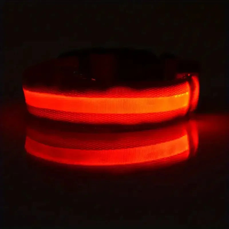 LED Night Safety Flashing Glow Leash