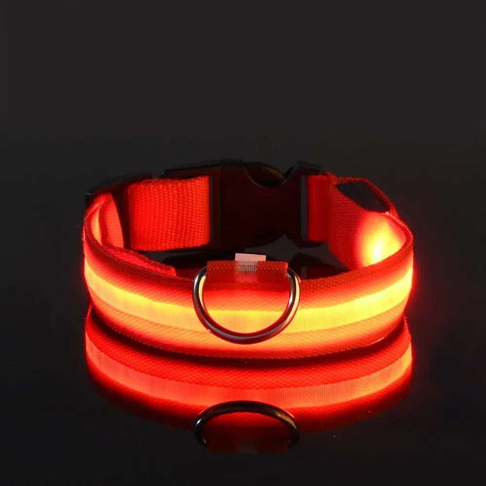 LED Night Safety Flashing Glow Leash