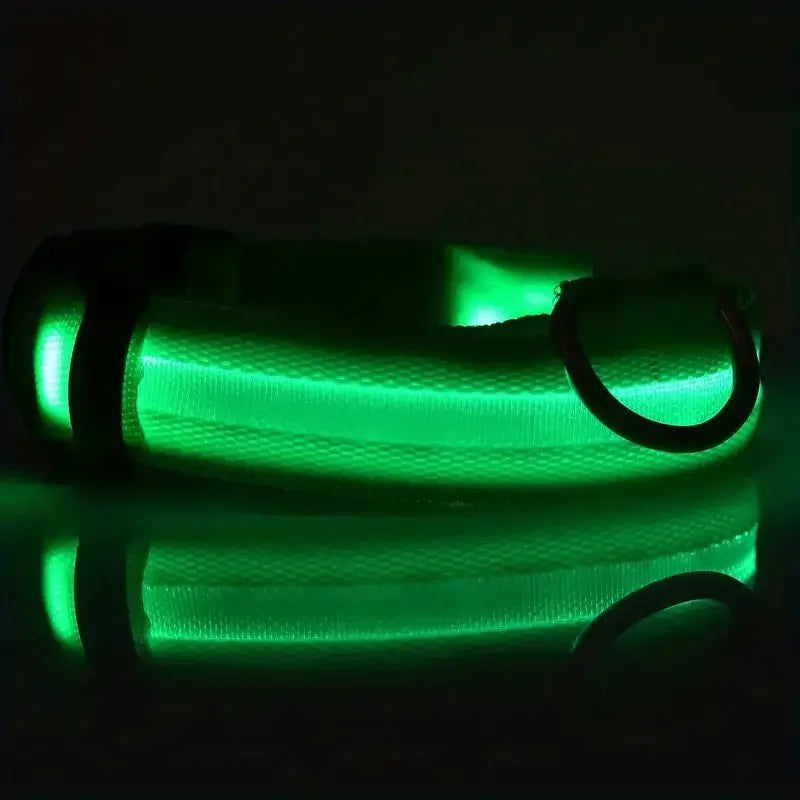 LED Night Safety Flashing Glow Leash