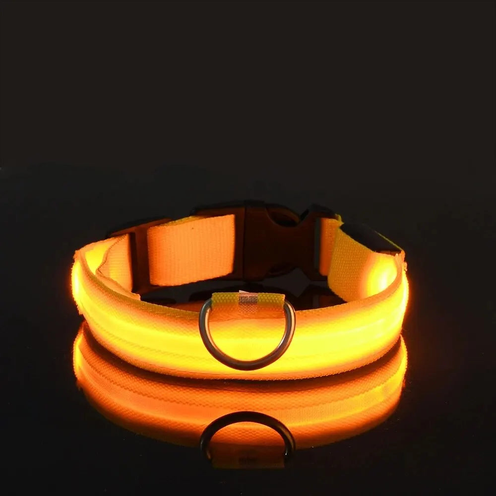 LED Night Safety Flashing Glow Leash