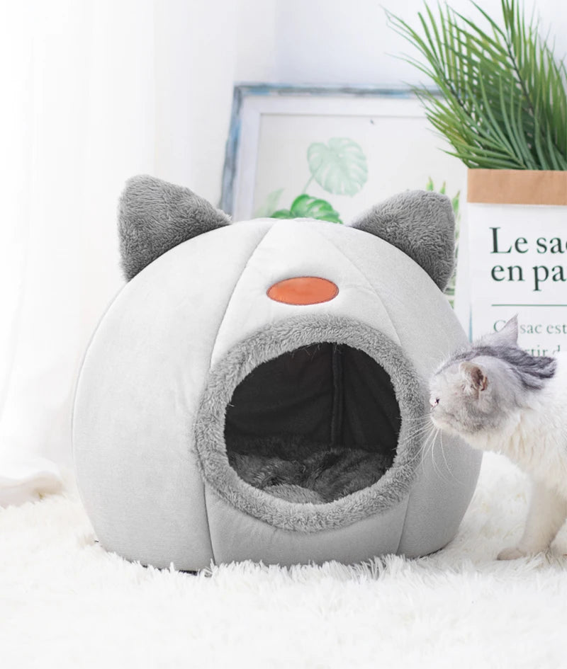 Cat & Small Dog Bed House